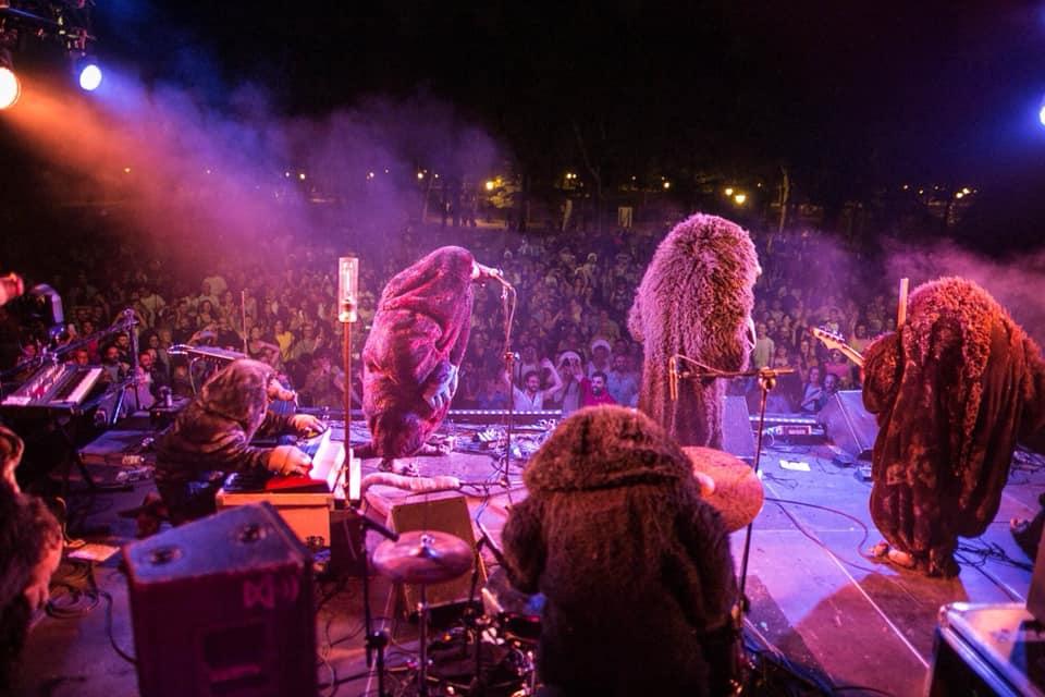 Grupa muzyków grająca koncert w strojach przypominających krety przed publicznością.