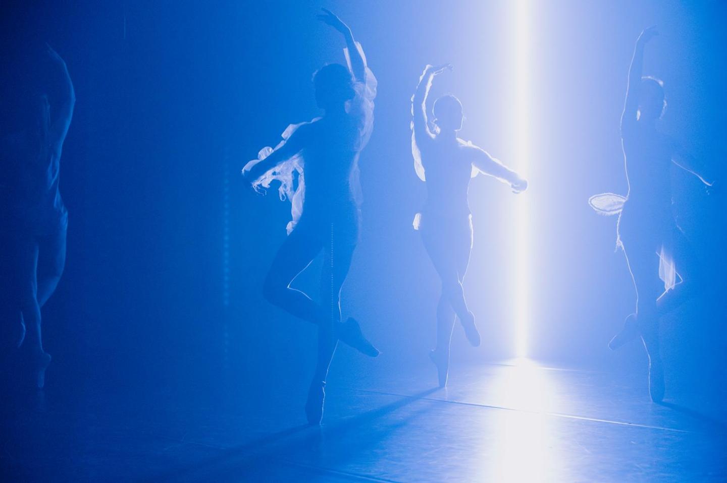 picture from I love ballet